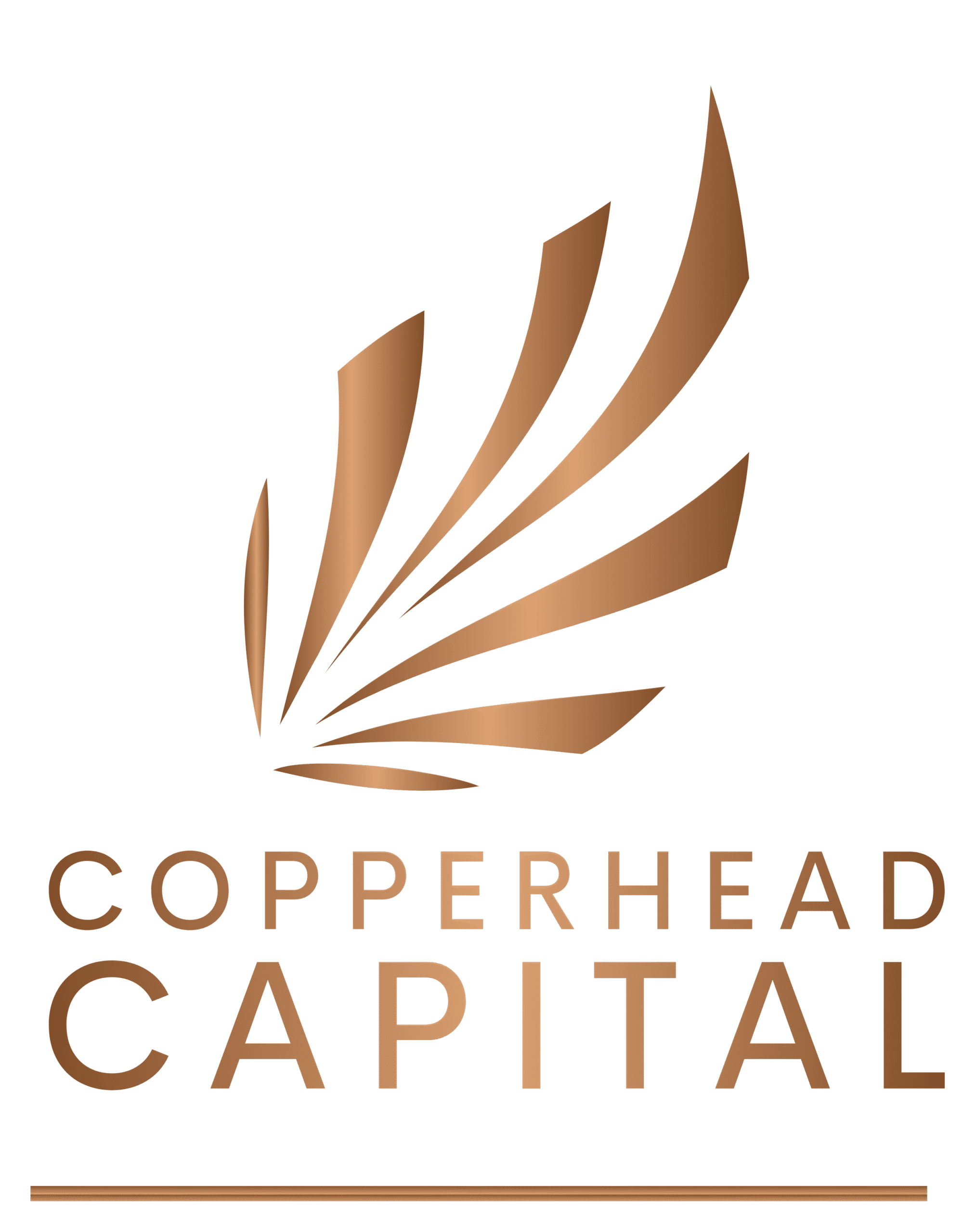 Copperhead Capital Oü